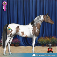 Horse Color:White Spotted Brown Dun Mushroom Tobiano 