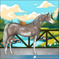 Horse Color:Liver Red Dun Mushroom Sabino 