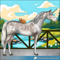 Horse Color:White Spotted Liver Red Dun Ice Mushroom Splash Brindle 
