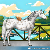 Horse Color:White Spotted Liver Red Dun Ice Mushroom Sabino Appaloosa 