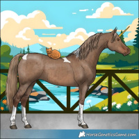 Horse Color:Liver Red Dun Tobiano Brindle 