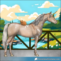Horse Color:White Spotted Silver Grullo Pearl