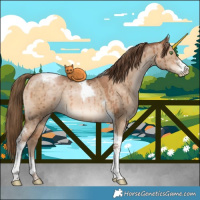 Horse Color:Brown Pearl Dun Sabino Tobiano Brindle 