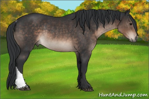 Horse Color:Brown Rabicano 