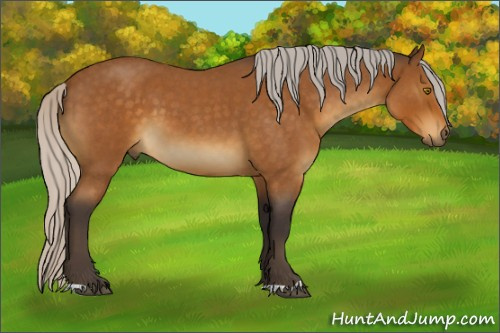 Horse Color:Silver Buckskin Roan 