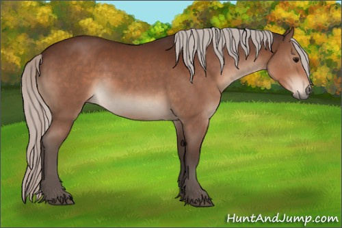 Horse Color:Silver Brown Rabicano 
