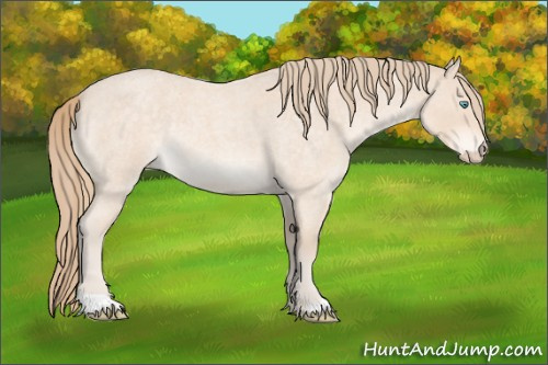 Horse Color:Perlino Roan 