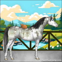 Horse Color:Plaid  White Spotted Brown Onyx Splash Brindle 