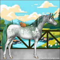 Horse Color:Painted Plaid  White Spotted Brown Onyx Tobiano 