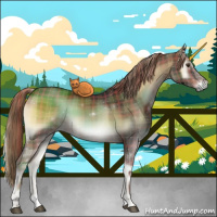 Horse Color:Plaid  Liver Red Onyx Sabino 