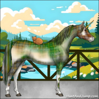 Horse Color:Painted Plaid  Liver Red Onyx Sabino 