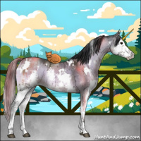 Horse Color:White Spotted Brown Onyx Sabino Splash Brindle 