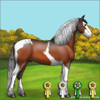 Horse Color:Brown Splash Tobiano