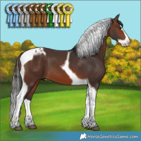 Horse Color:Brown Splash Tobiano 