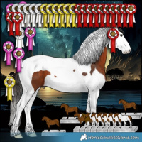 Horse Color:Bay Splash Tobiano
