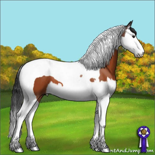 Horse Color:Brown Splash Tobiano 