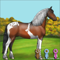 Horse Color:Brown Tobiano 