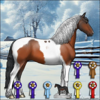 Horse Color:Brown Tobiano