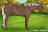 Horse Color:Silver Black 