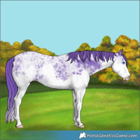Horse Color:Watercolor Smoky Black Ice Splash 
