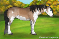 Horse Color:Gray Brown Dun Splash Tobiano 