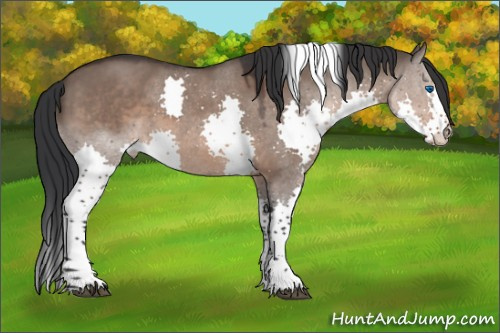 Horse Color:Brown Dun Splash Tobiano Rabicano 