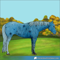 Horse Color:ERROR: UNKNOWN ANOMALY