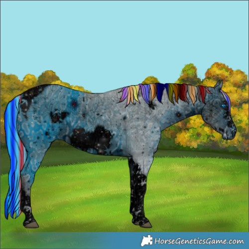 Horse Color:ERROR: UNKNOWN ANOMALY