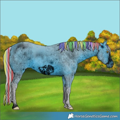 Horse Color:ERROR: UNKNOWN ANOMALY