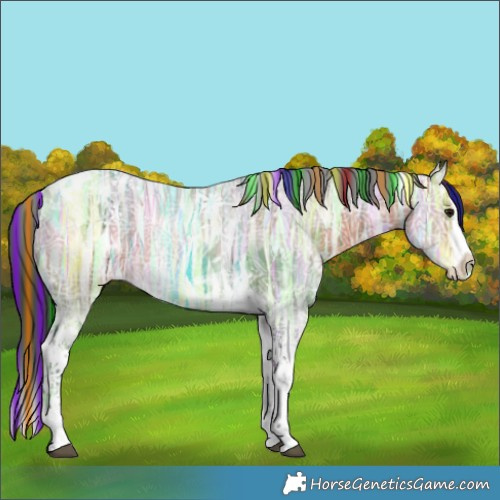Horse Color:Painted Bay Ice Splash Tobiano Rabicano 