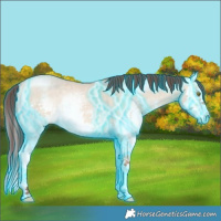 Horse Color:Thunderstruck White Spotted Chocolate Amber Champagne Dun Sabino Splash Rabicano 