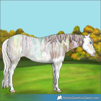 Horse Color:Chocolate Silver Bay Ice Sabino Splash Rabicano 
