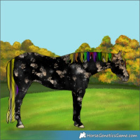 Horse Color:Void Painted Buckskin Ice Sabino Splash Frame 