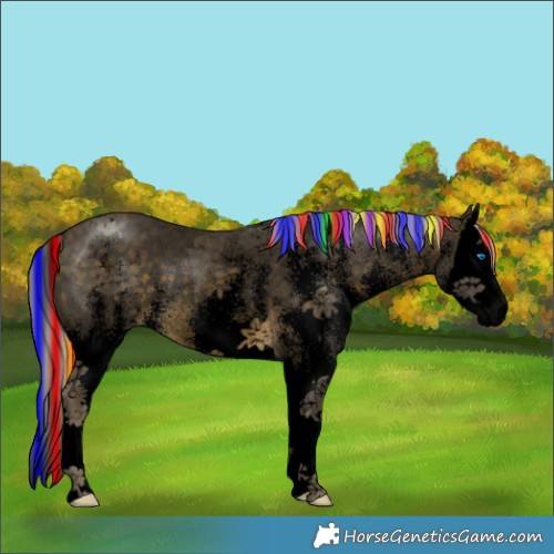 Horse Color:Void Painted White Spotted Silver Buckskin Splash Rabicano 