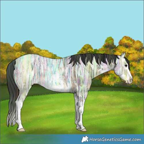 Horse Color:Plaid  White Spotted Buckskin Ice Splash Rabicano 