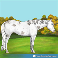 Horse Color:White Spotted Silver Perlino Ice 