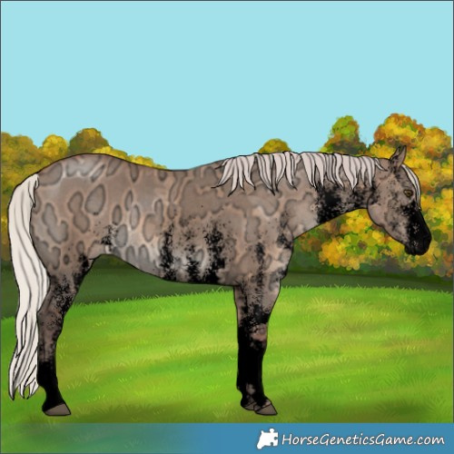 Horse Color:Void White Spotted Silver Bay Ice Dun 