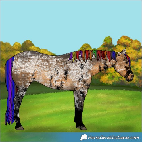 Horse Color:Void Painted White Spotted Buckskin Ice Rabicano 