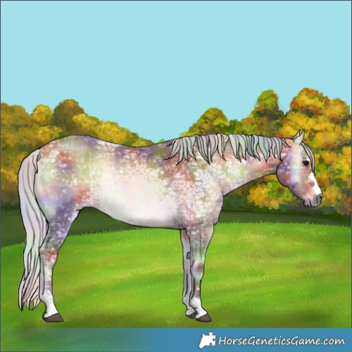 Horse Color:Nacre Silver Buckskin Ice Onyx Rabicano 