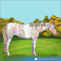 Horse Color:Nacre Perlino Dun Tobiano Rabicano 