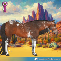 Horse Color:Bay Tobiano 