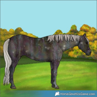Horse Color:Midnight Silver Brown Ice Onyx Rabicano 