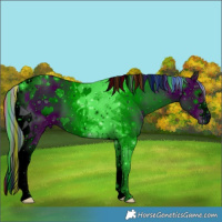 Horse Color:ERROR: UNKNOWN ANOMALY