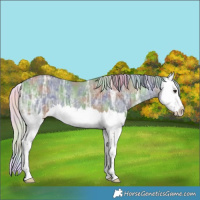 Horse Color:Nacre Silver Bay Ice Dun Splash 