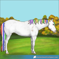 Horse Color:Painted Silver Buckskin Sabino Splash 