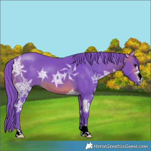 Horse Color:Platinum Watercolor Chocolate Brown Ice 