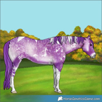 Horse Color:Watercolor White Spotted Chocolate Brown Ice Onyx Tobiano 