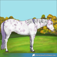 Horse Color:Watercolor Buckskin Ice Dun Sabino 