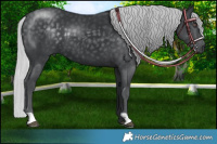 Horse Color:Silver Black Chinchilla 