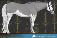 Horse Color:Silver Smoky Grullo Chinchilla Splash 